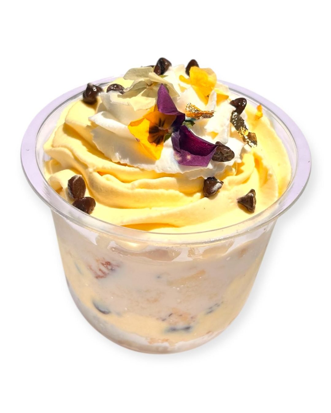 WhatsApp Image 2025-07-22 at 2.43.08 PM